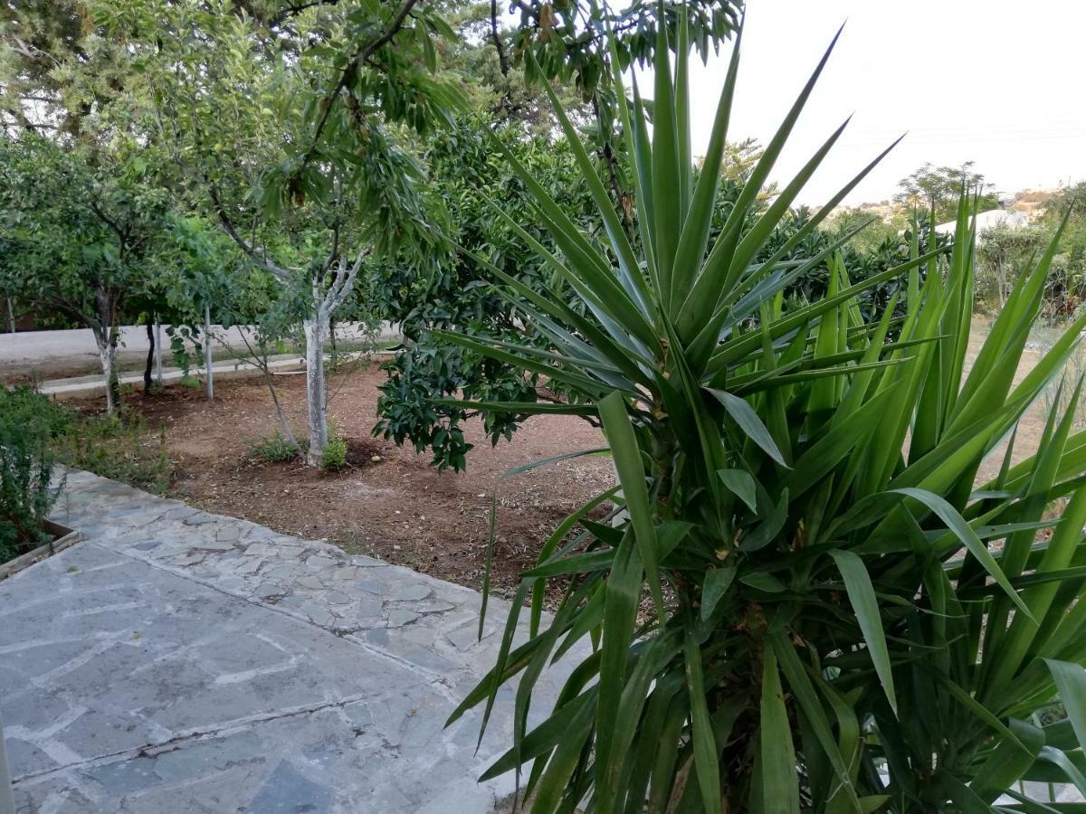 Dreamhome -10Min From Airport- 아르테미다 외부 사진